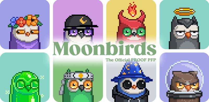 A Guide to Moonbirds: What Are These PFP Owl NFTs?